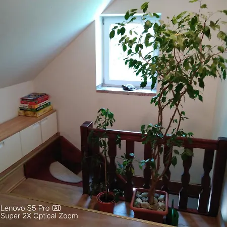 Wellness Beavital Dolany (Olomouc)
