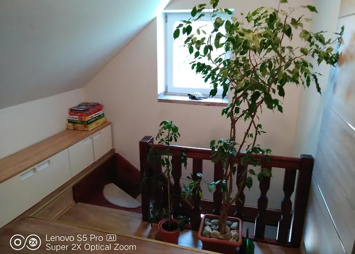Wellness Beavital Dolany (Olomouc)